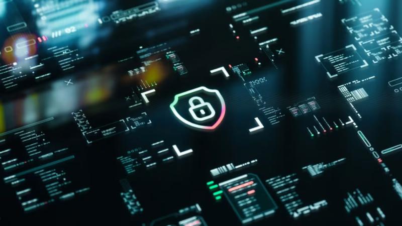 长武县软件开发公司